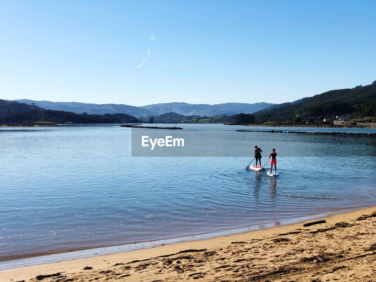 Rear view of men paddle boarding in sea against clear sky