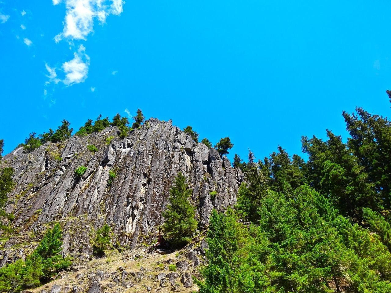 Low angle view of rocks and trees against blue sky