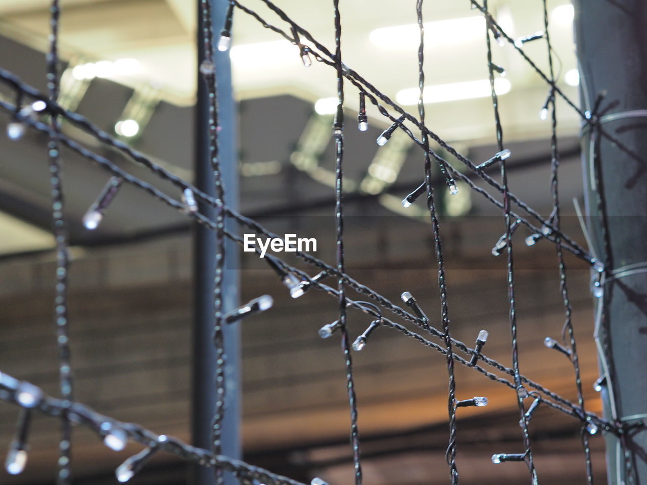 Close-up of wet metal fence during rainy season