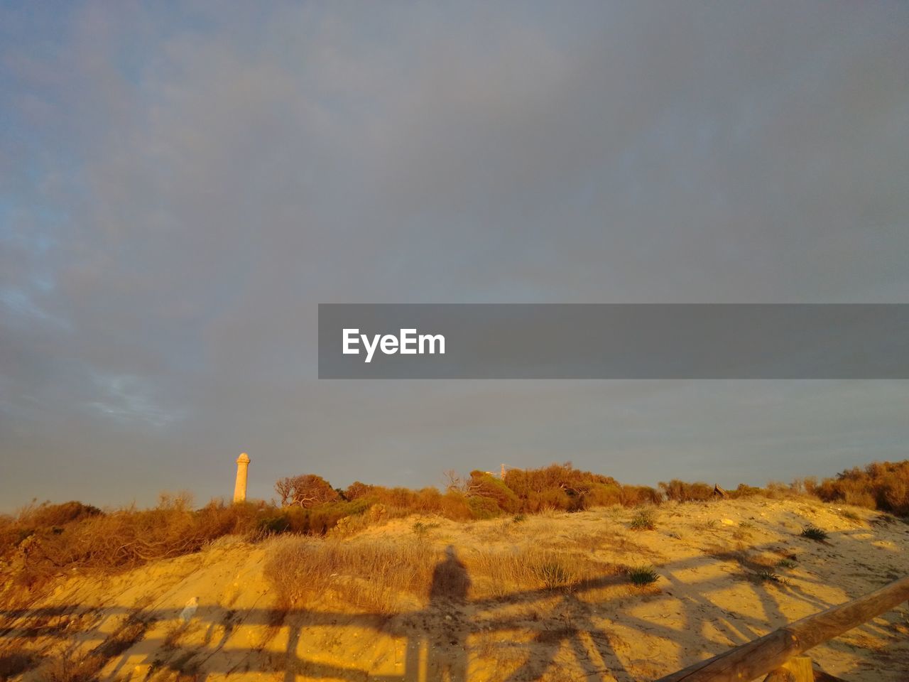 SCENIC VIEW OF FIELD AGAINST SKY DURING SUNSET