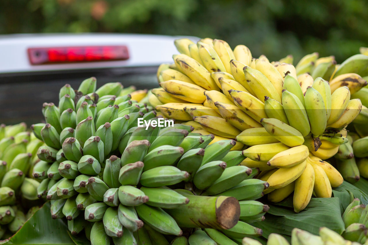 Close-up of fruits for sale