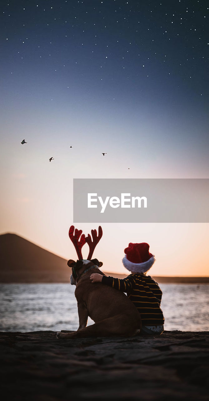 Rear view of boy with dog sitting at beach against sky during christmas