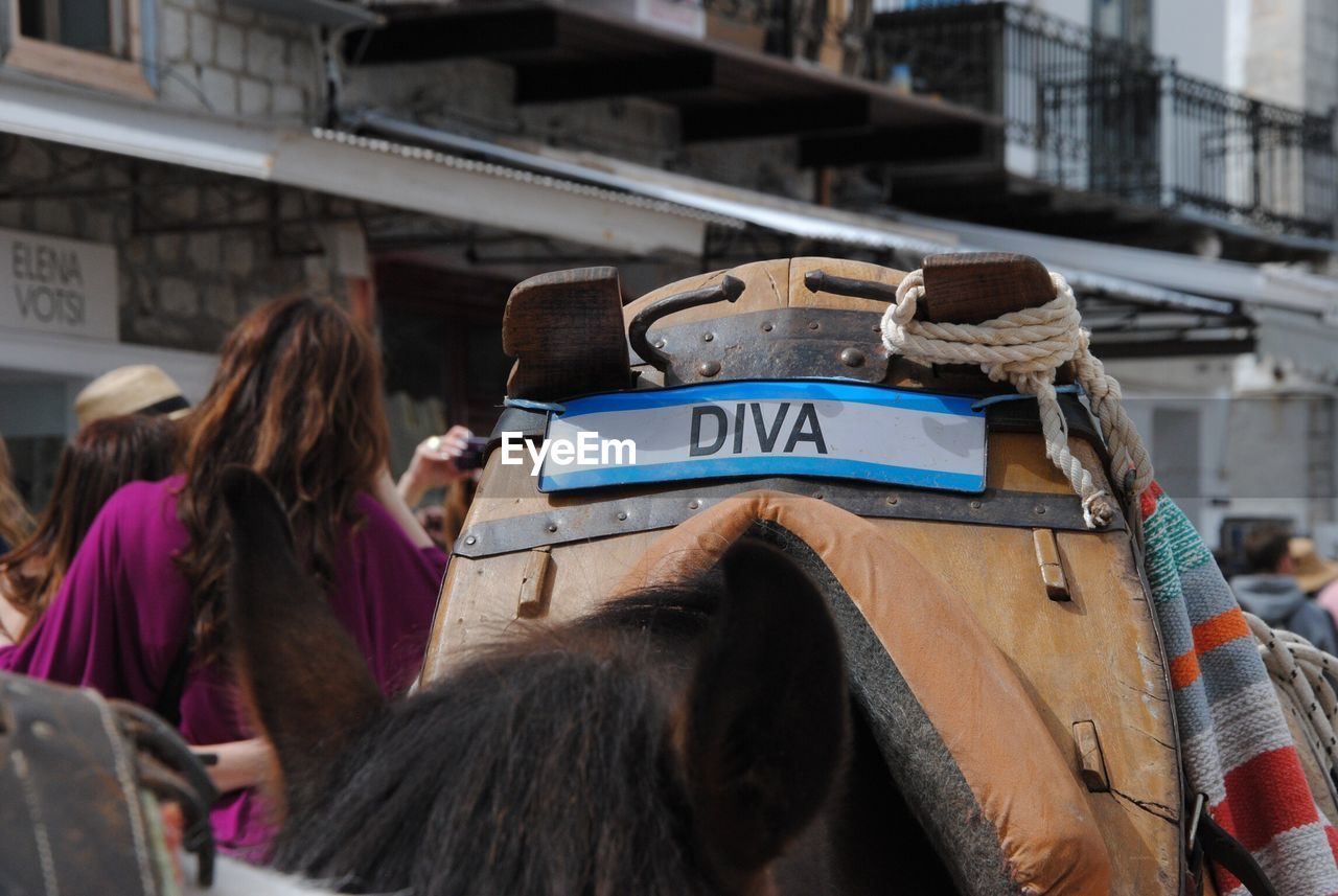 Diva text on horse saddle