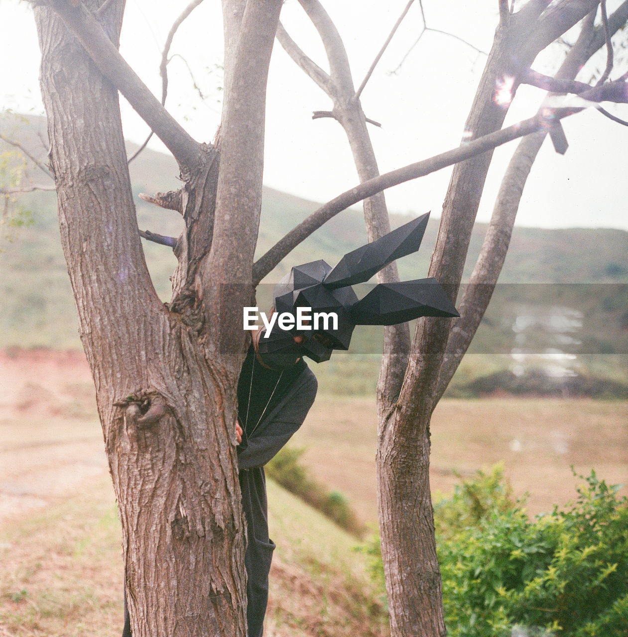 Woman wearing mask standing behind tree against sky