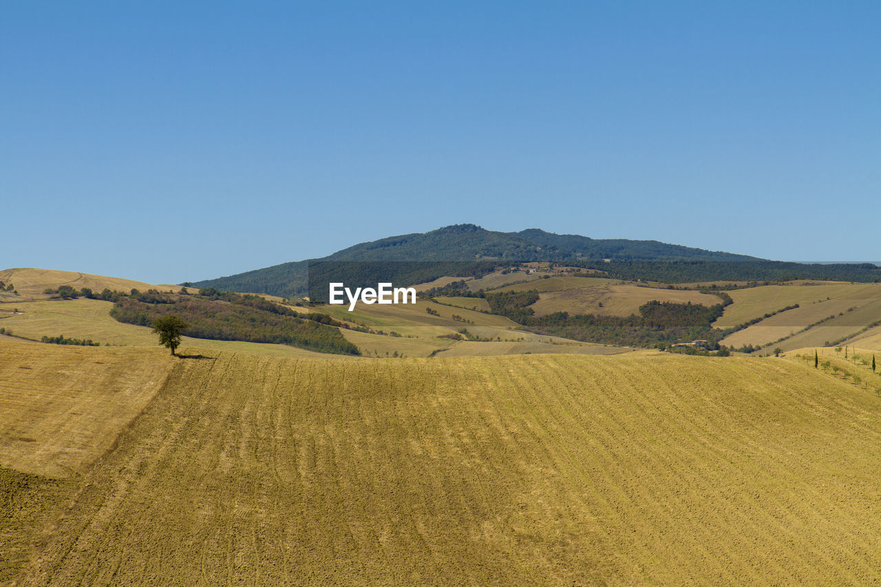 SCENIC VIEW OF LANDSCAPE AGAINST CLEAR BLUE SKY