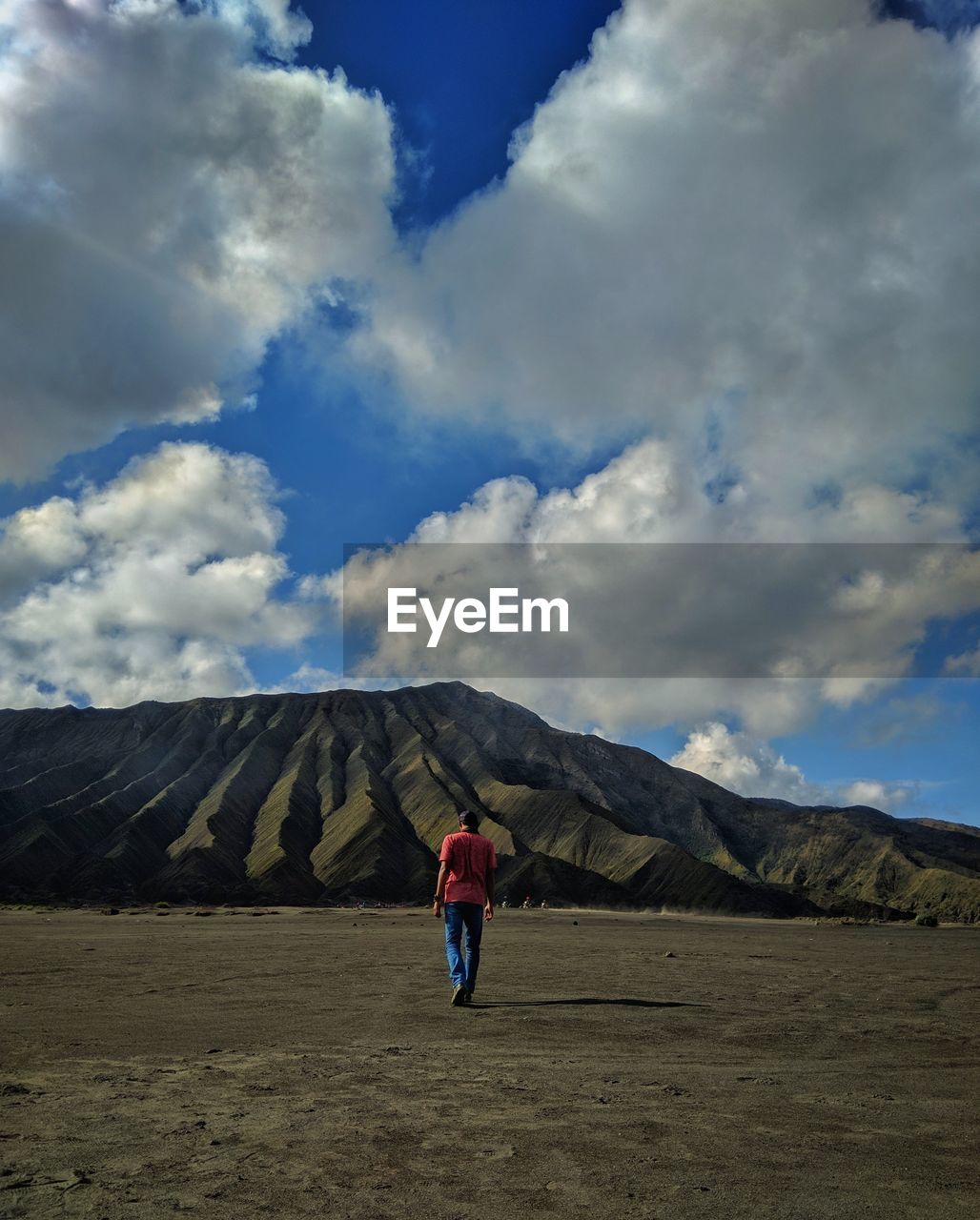 Rear view of man walking on sand against sky