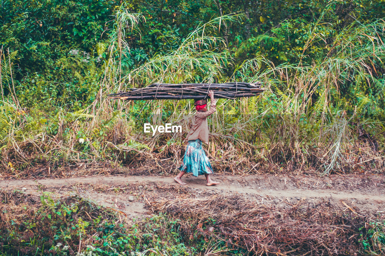 Non urban scenic view of a woman walking carrying firewood in the forest 