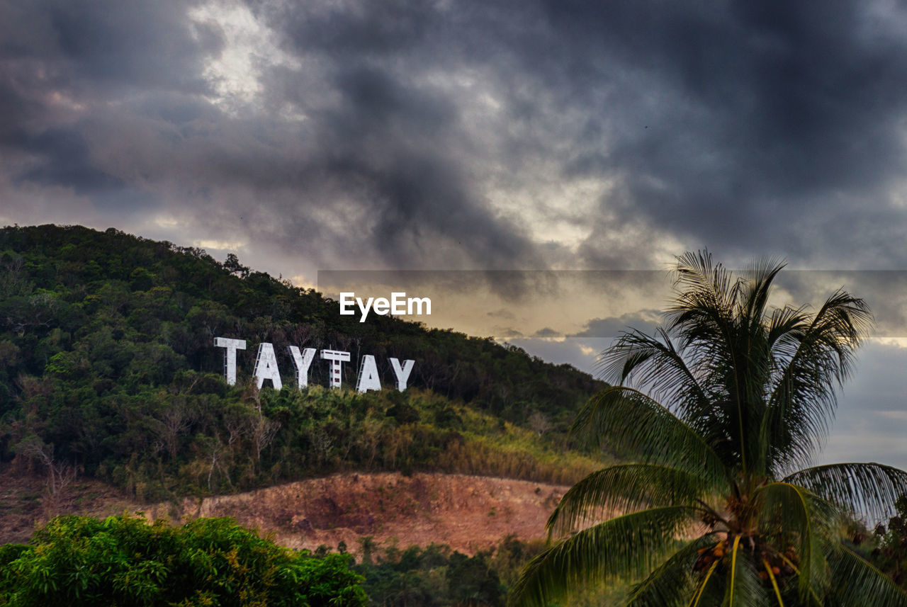 PANORAMIC VIEW OF PALM TREES ON MOUNTAIN ROAD AGAINST SKY