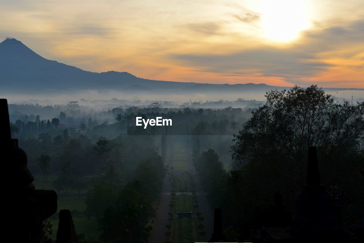 Trees against sky during foggy weather at borobudur during sunrise