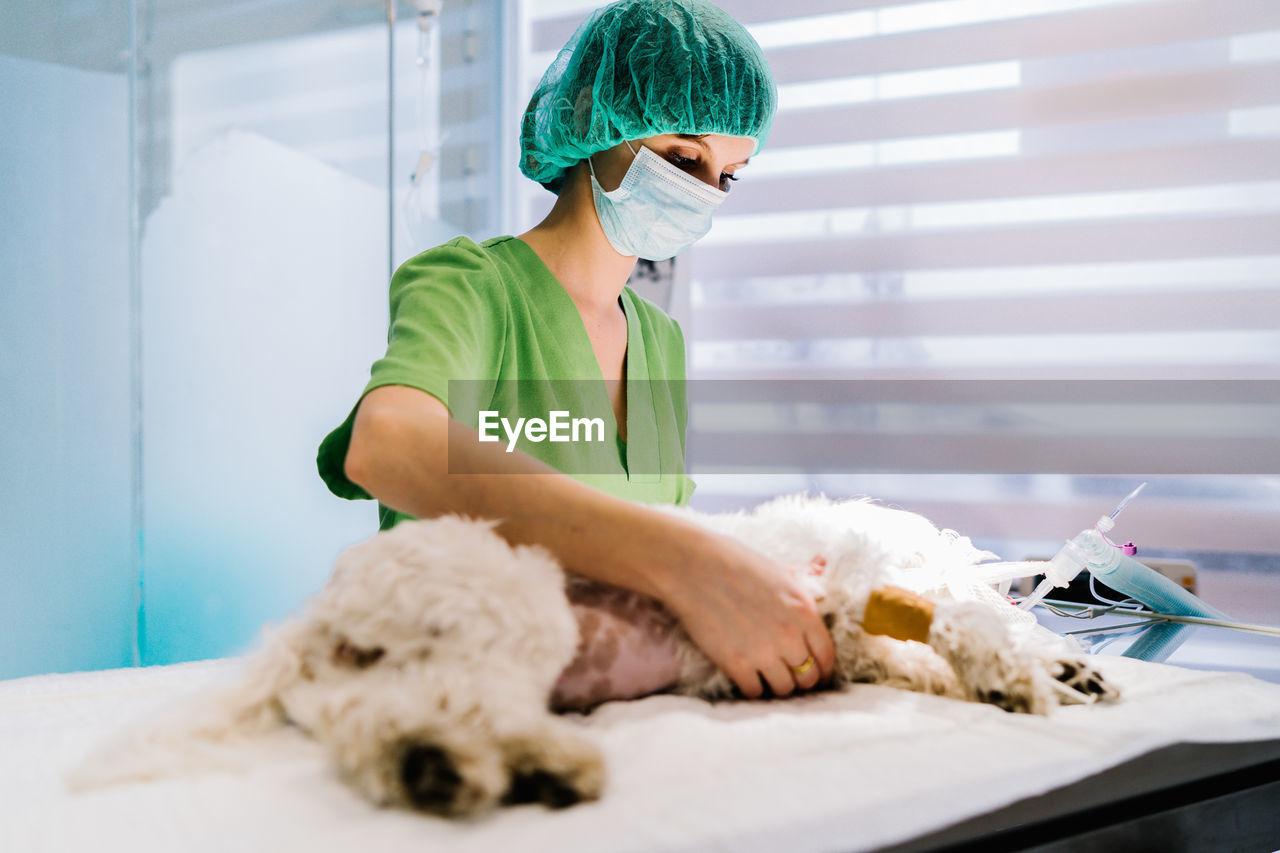 Serious female vet doctor standing at metal table with anesthetized dog and preparing animal for surgery in operating theater of clinic