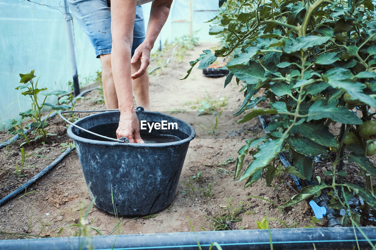 Midsection of woman with bucket standing by plants