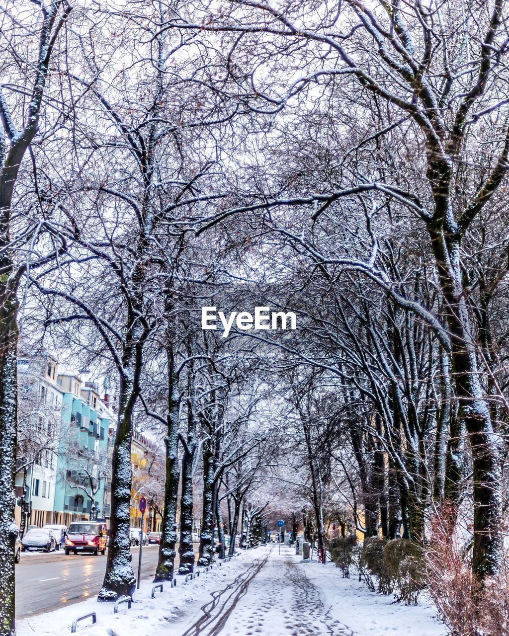 Snow covered road amidst bare trees in city