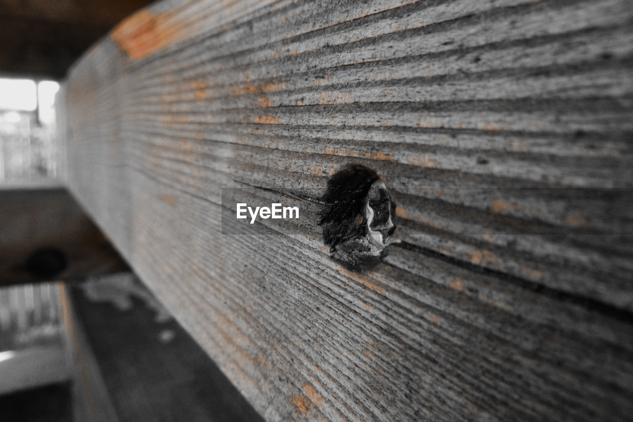 CLOSE-UP OF MOTH ON WOOD