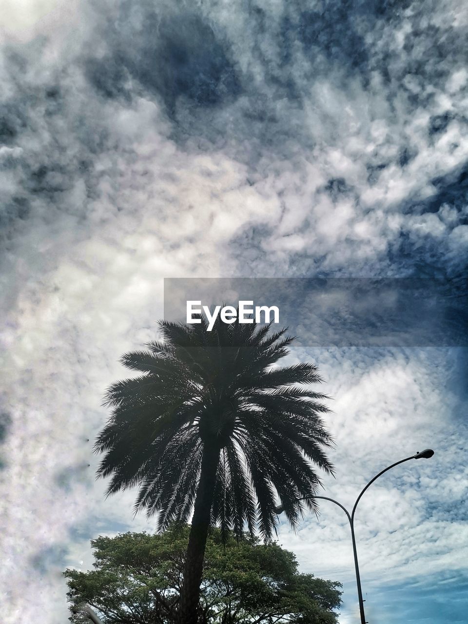 LOW ANGLE VIEW OF SILHOUETTE PALM TREE AGAINST SKY