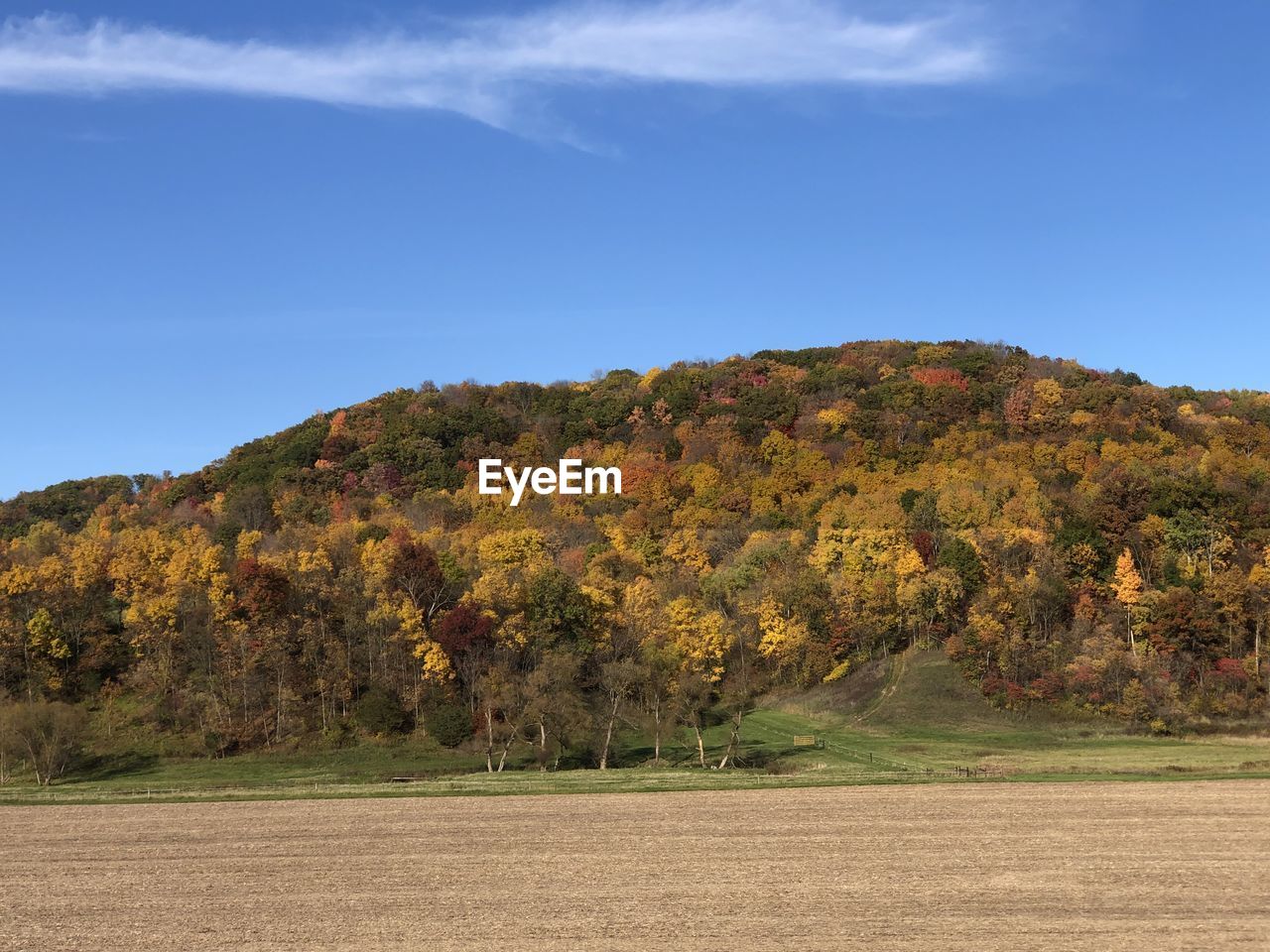 plant, landscape, tree, sky, environment, hill, nature, land, rural area, leaf, scenics - nature, autumn, beauty in nature, no people, field, natural environment, grass, tranquility, blue, outdoors, tranquil scene, horizon, day, non-urban scene, prairie, rural scene, cloud, plateau