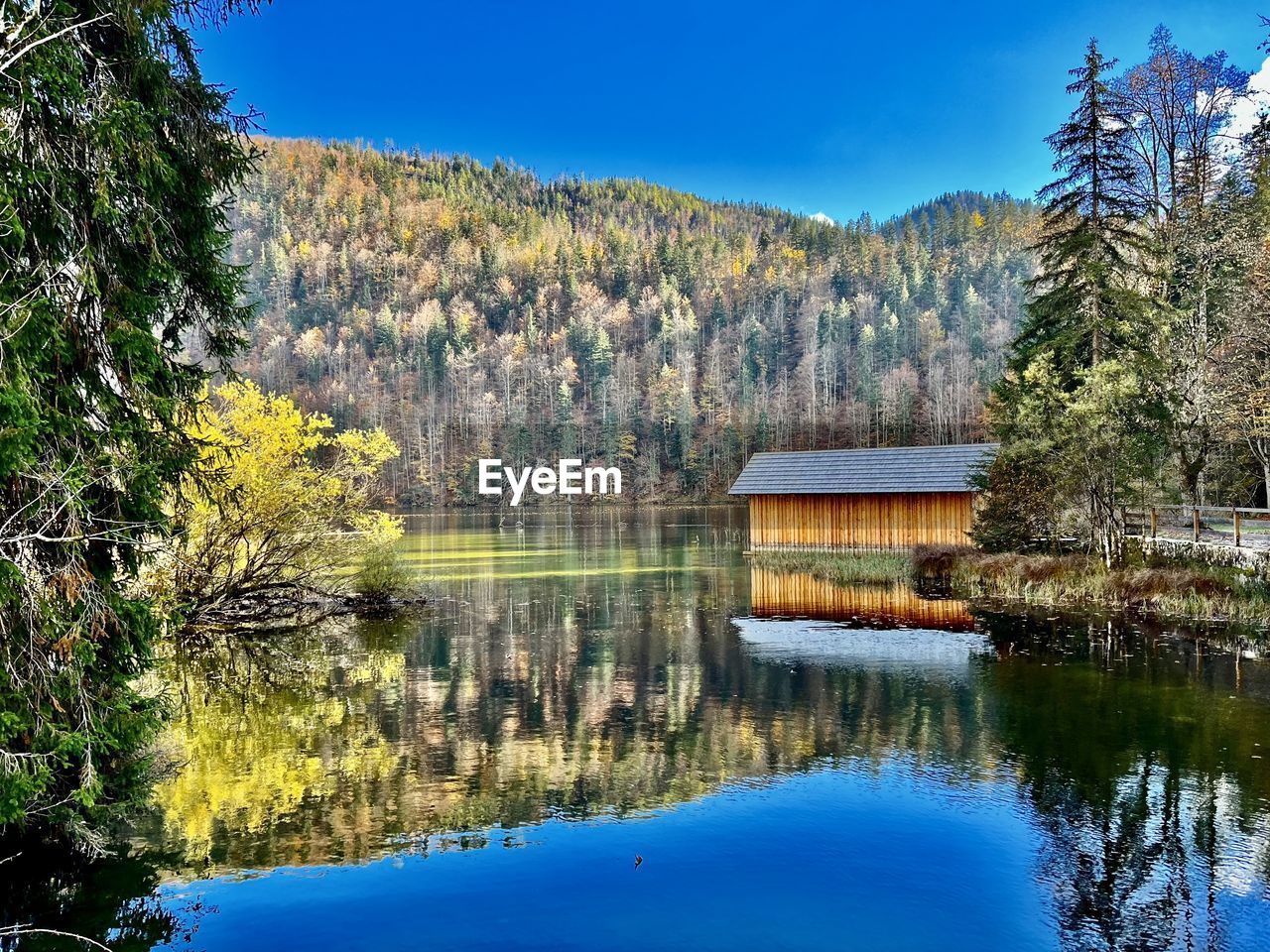 Scenic view of lake with boathouse in forest against sky