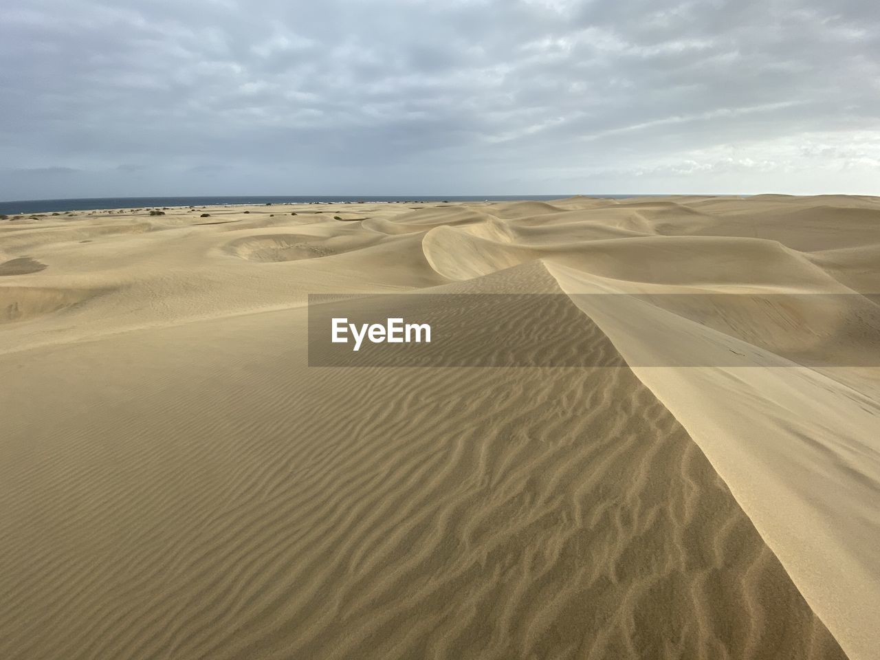 Sand dunes in desert against sky