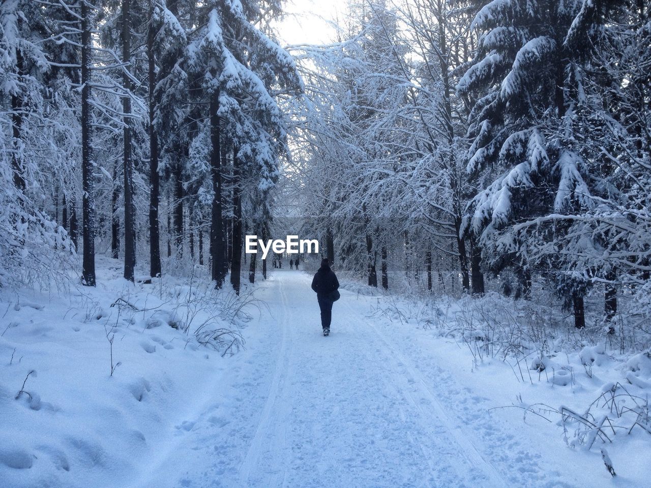 Rear view of a person walking on snow covered road