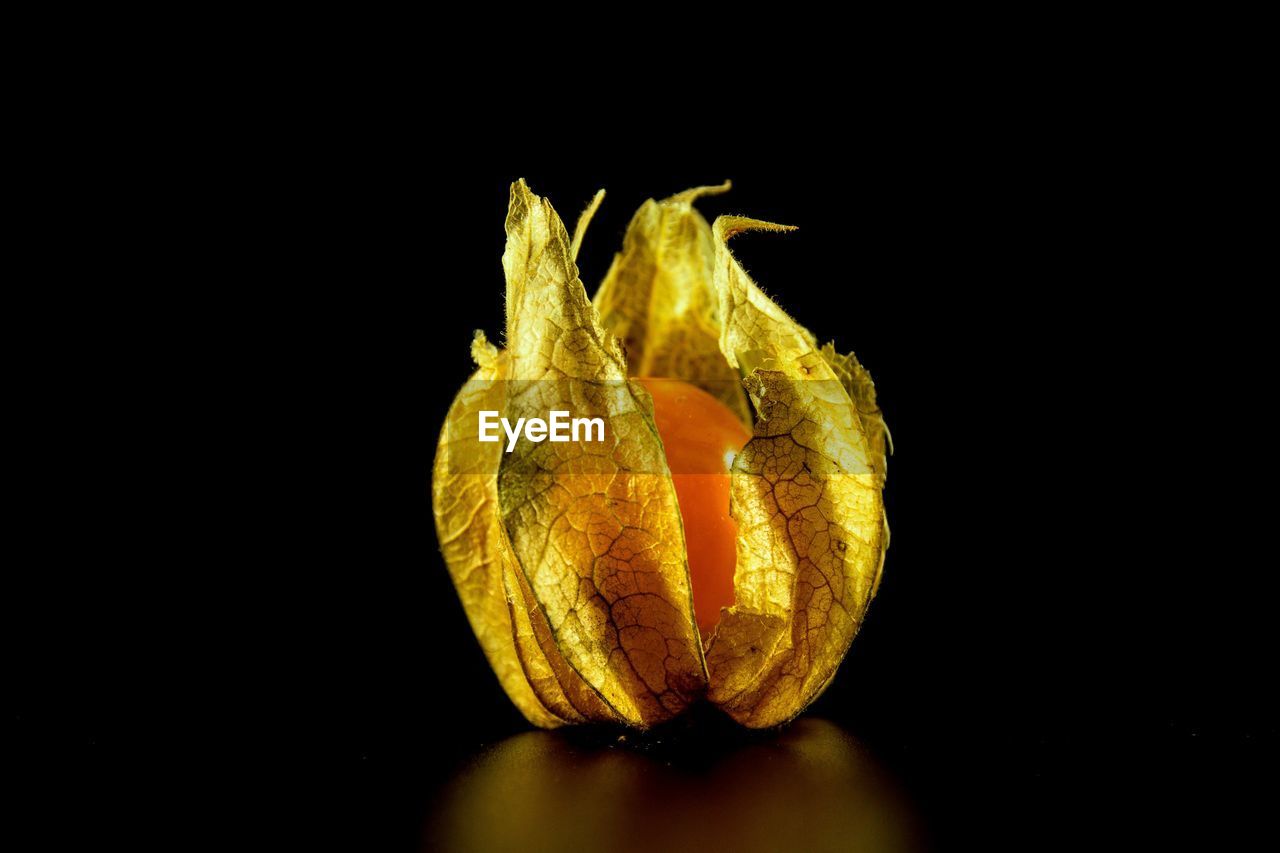 Close-up of fruit against black background