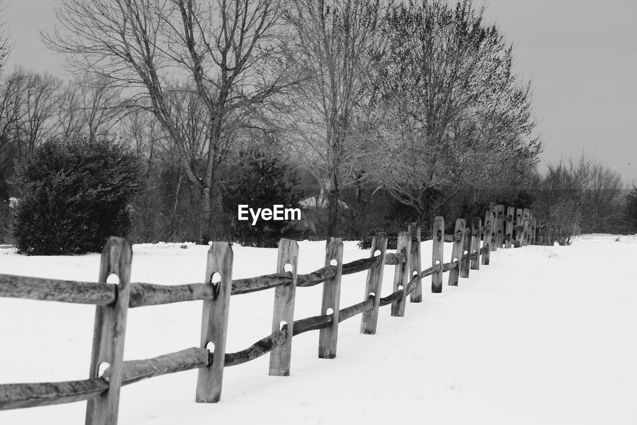 SNOW COVERED TREES IN CEMETERY AGAINST CLEAR SKY