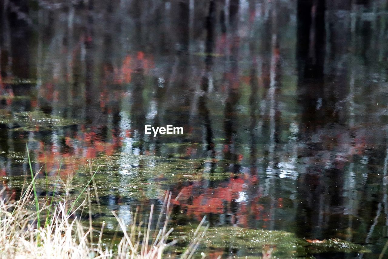 CLOSE-UP OF REFLECTION OF WATER IN PUDDLE