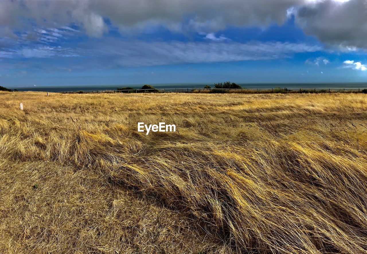 SCENIC VIEW OF FIELD AGAINST CLOUDY SKY