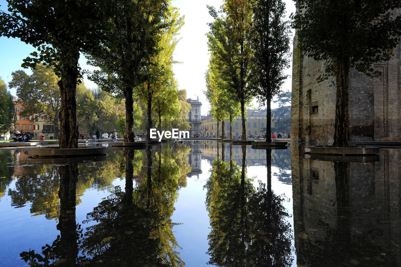 Reflection of trees in water