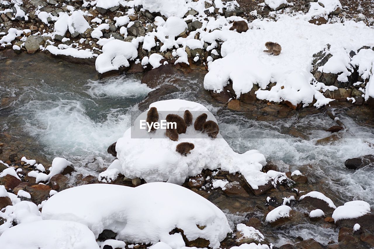 HIGH ANGLE VIEW OF FROZEN ICE ON GROUND