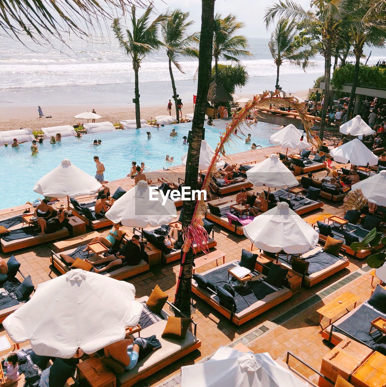 HIGH ANGLE VIEW OF PEOPLE ON TABLE BY TREES