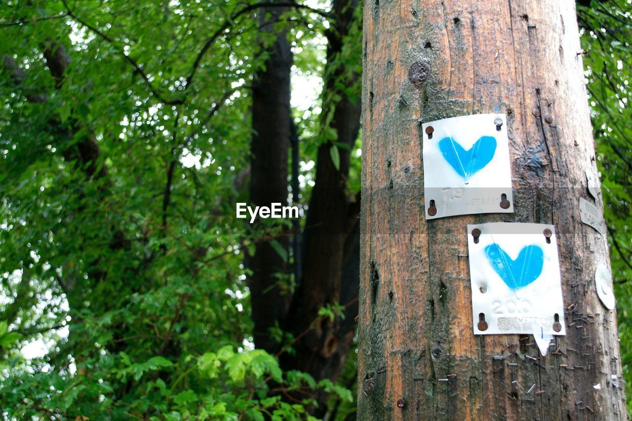 SIGN ON TREE TRUNK