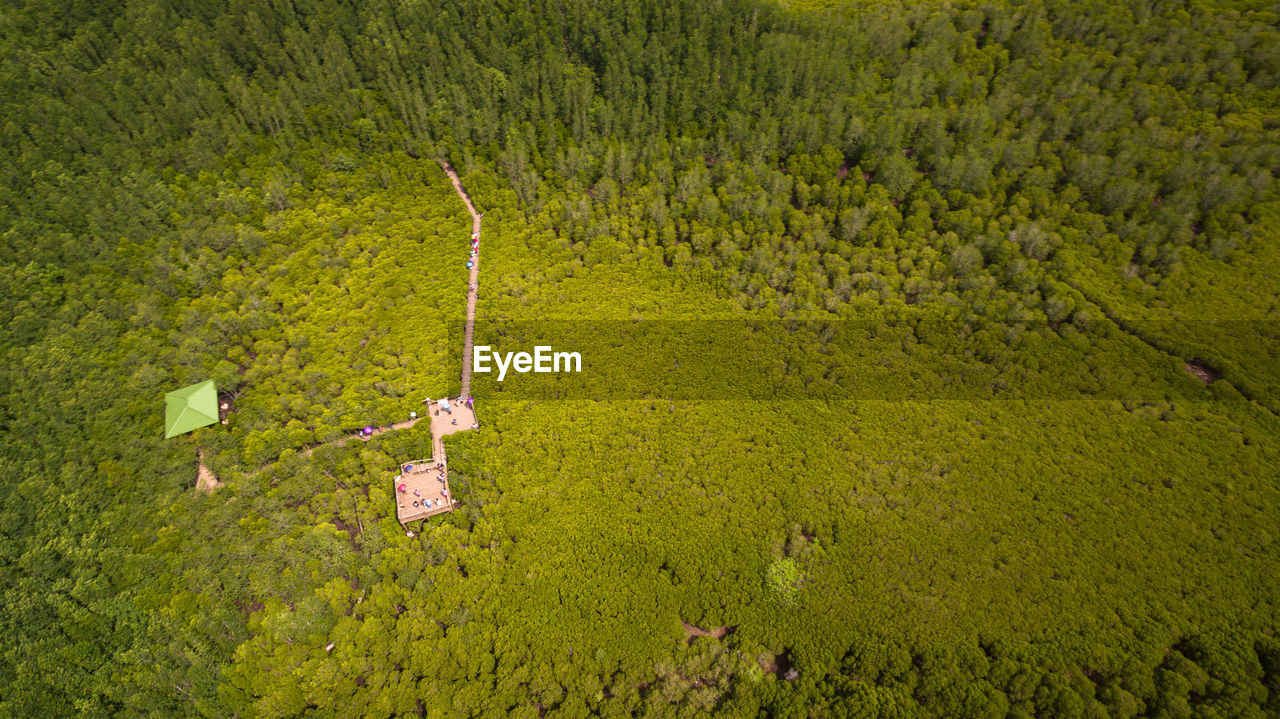 HIGH ANGLE VIEW OF AGRICULTURAL FIELD AGAINST SKY