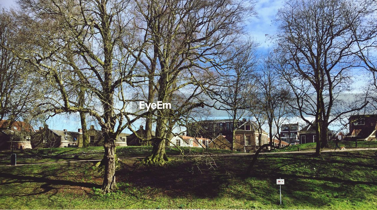 BARE TREES IN FIELD AGAINST HOUSES