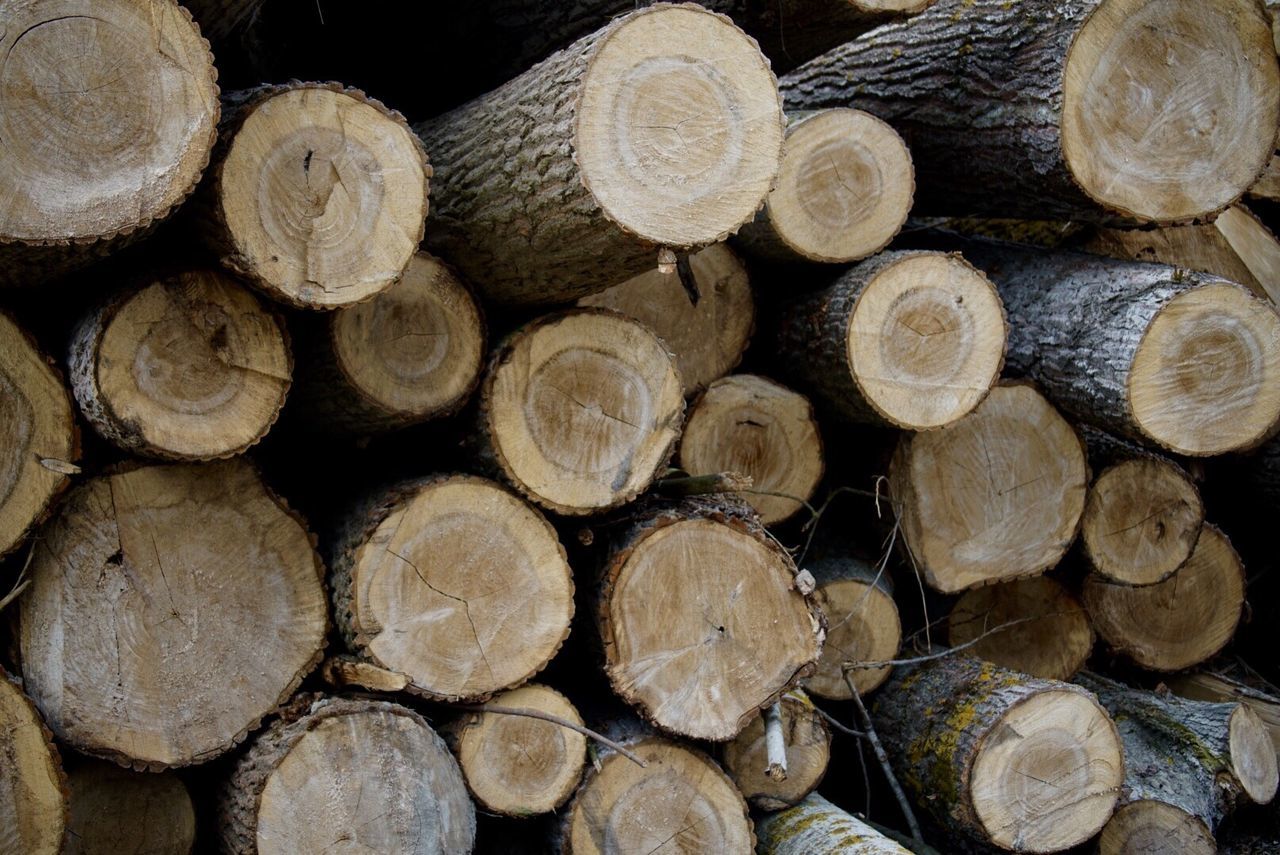 STACK OF LOGS