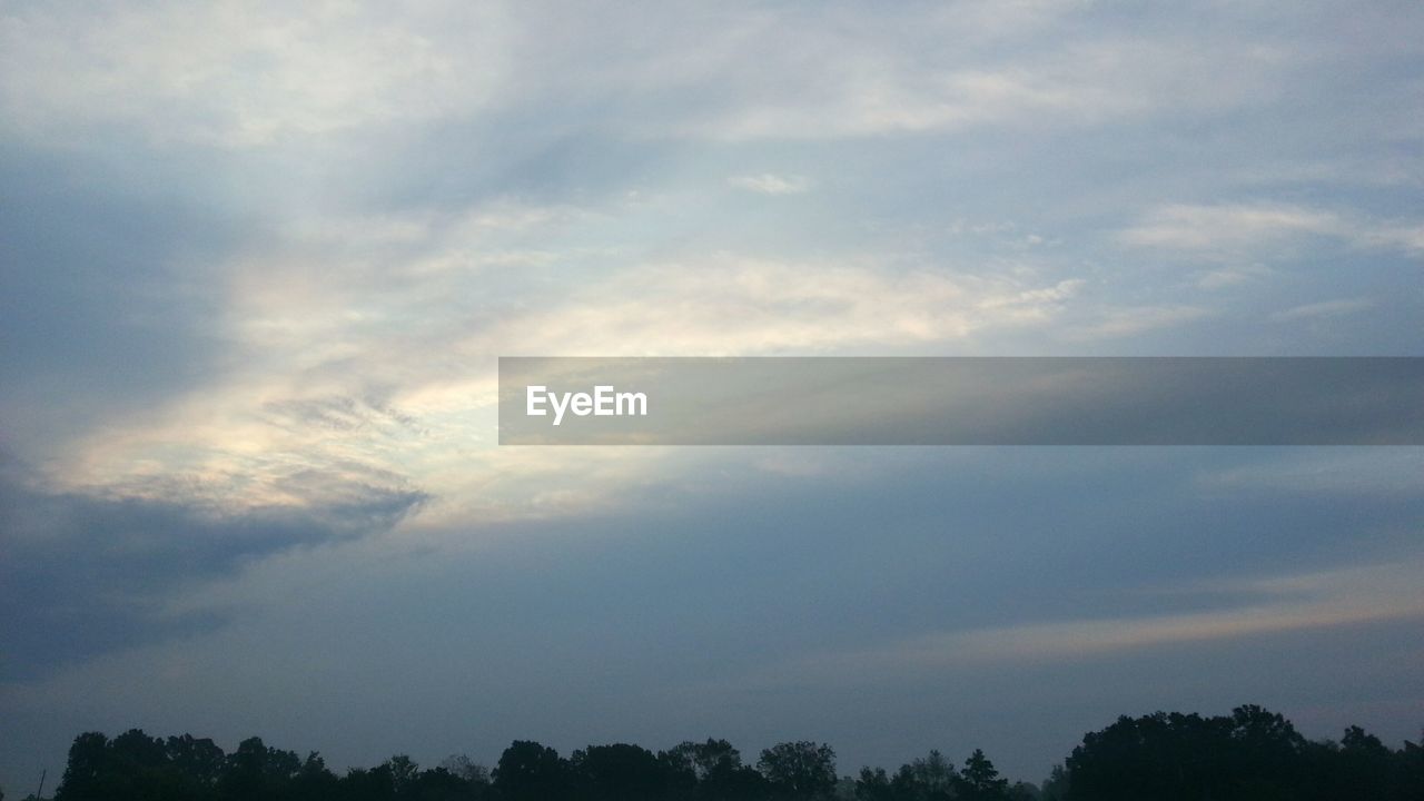 Low angle view of trees against cloudy sky