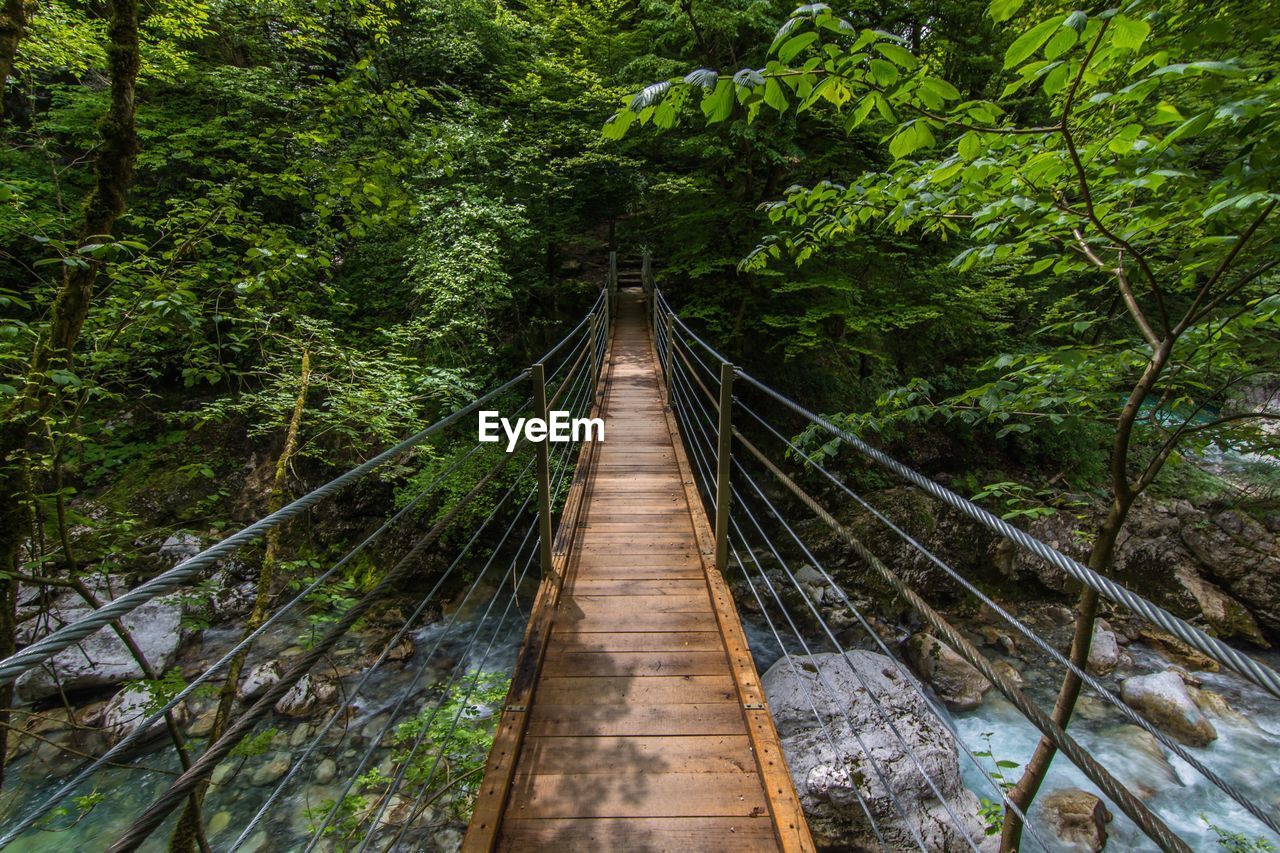 High angle view of footbridge over river in forest