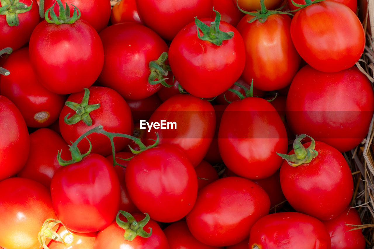 detail shot of tomatoes