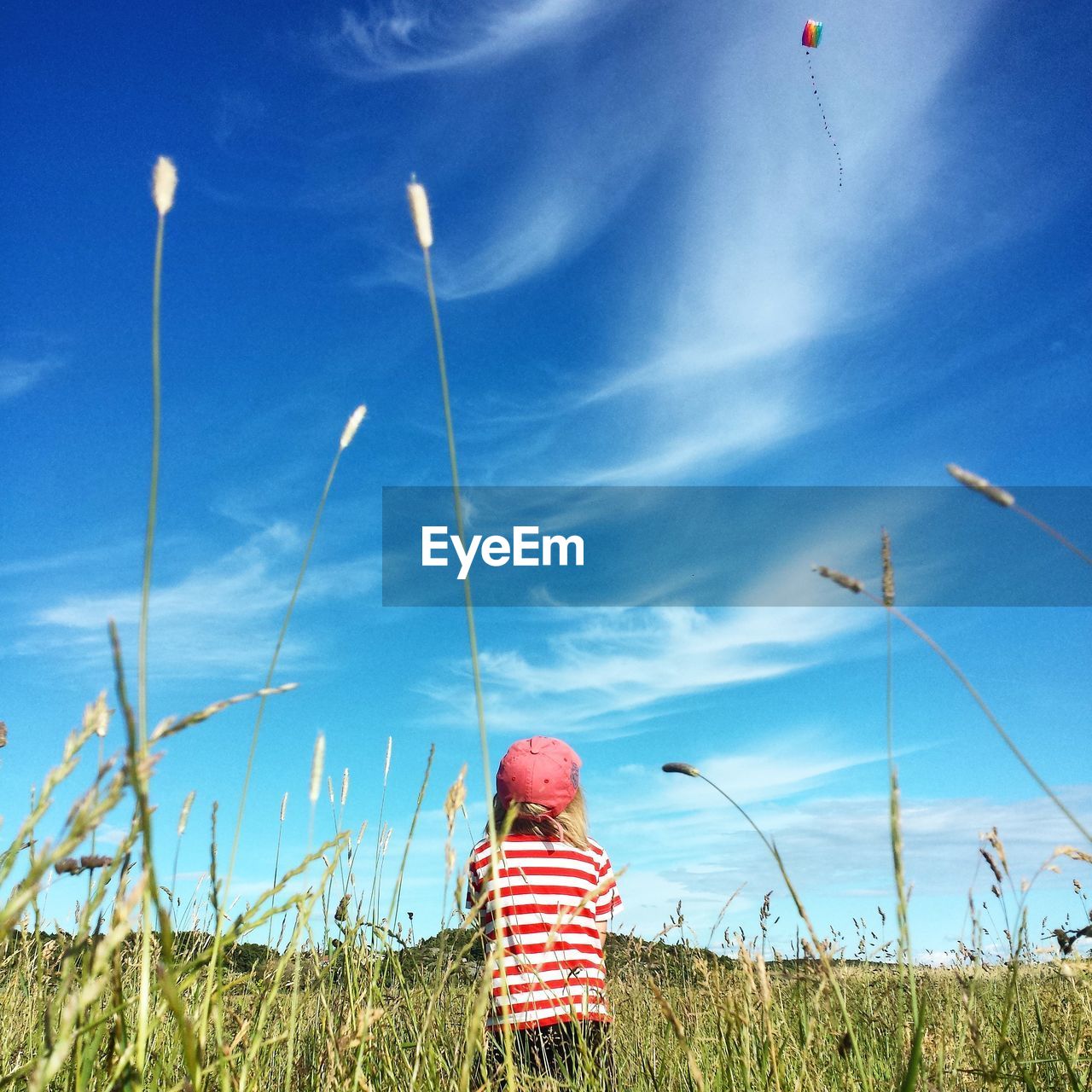 Rear view of boy flying kite in grassy field