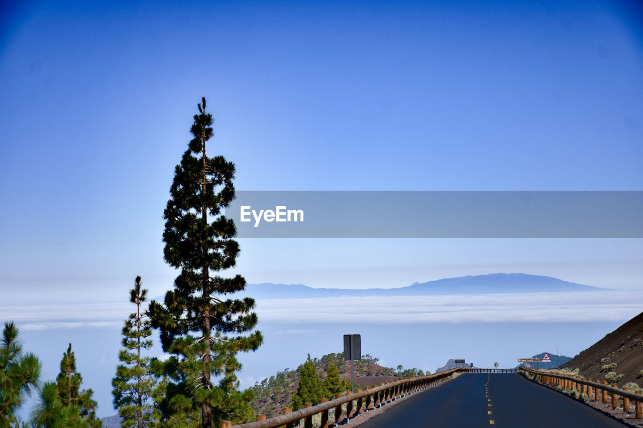 SCENIC VIEW OF BLUE SKY AND TREES AGAINST CLEAR BACKGROUND