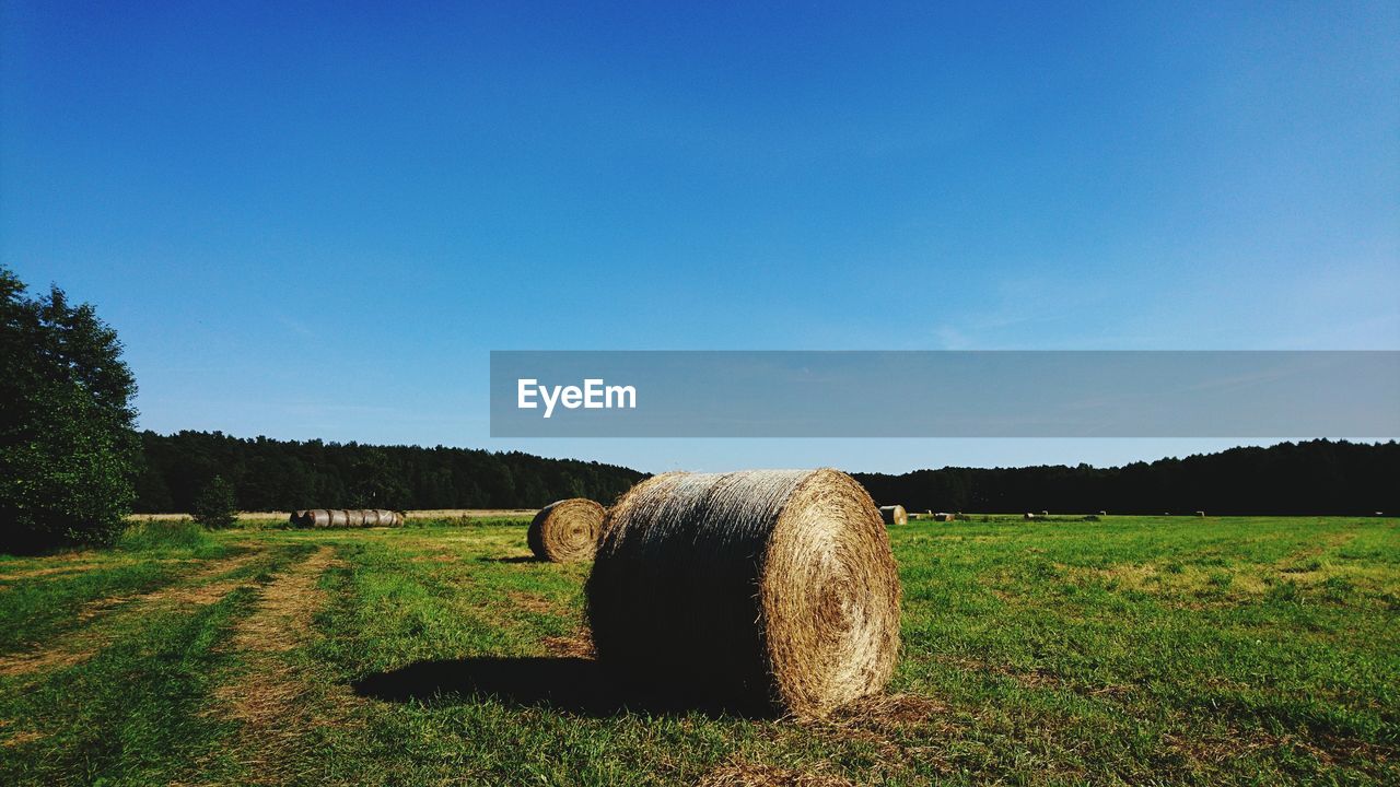 plant, sky, bale, field, hay, landscape, land, grass, tranquility, tranquil scene, nature, agriculture, farm, tree, rolled up, environment, rural scene, scenics - nature, blue, beauty in nature, no people, outdoors