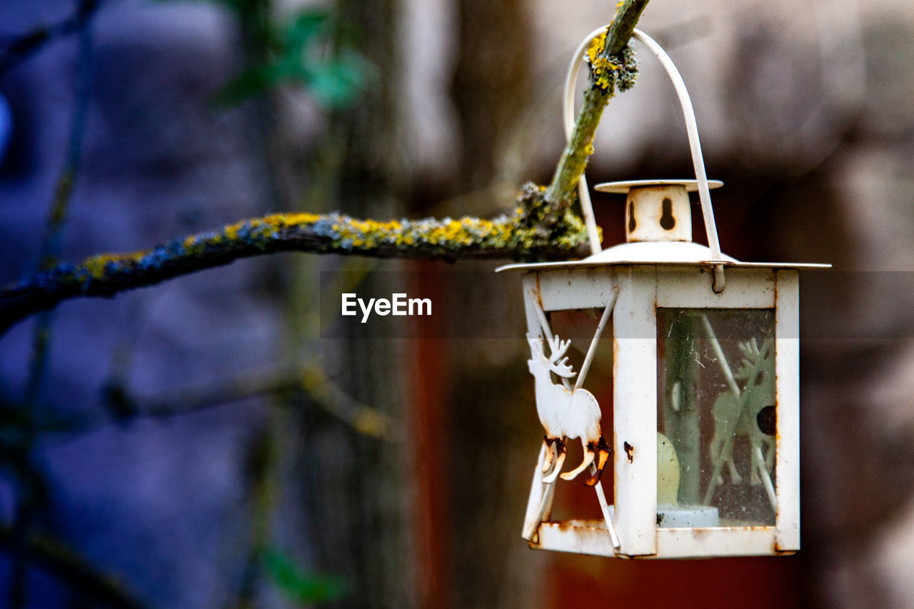 CLOSE-UP OF BIRDHOUSE ON TREE