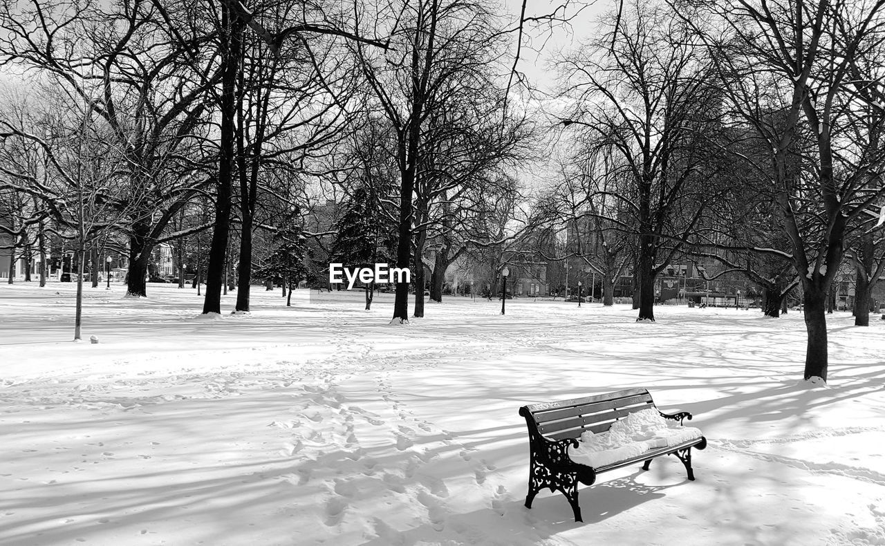 SNOW COVERED PARK BENCH ON FIELD IN WINTER