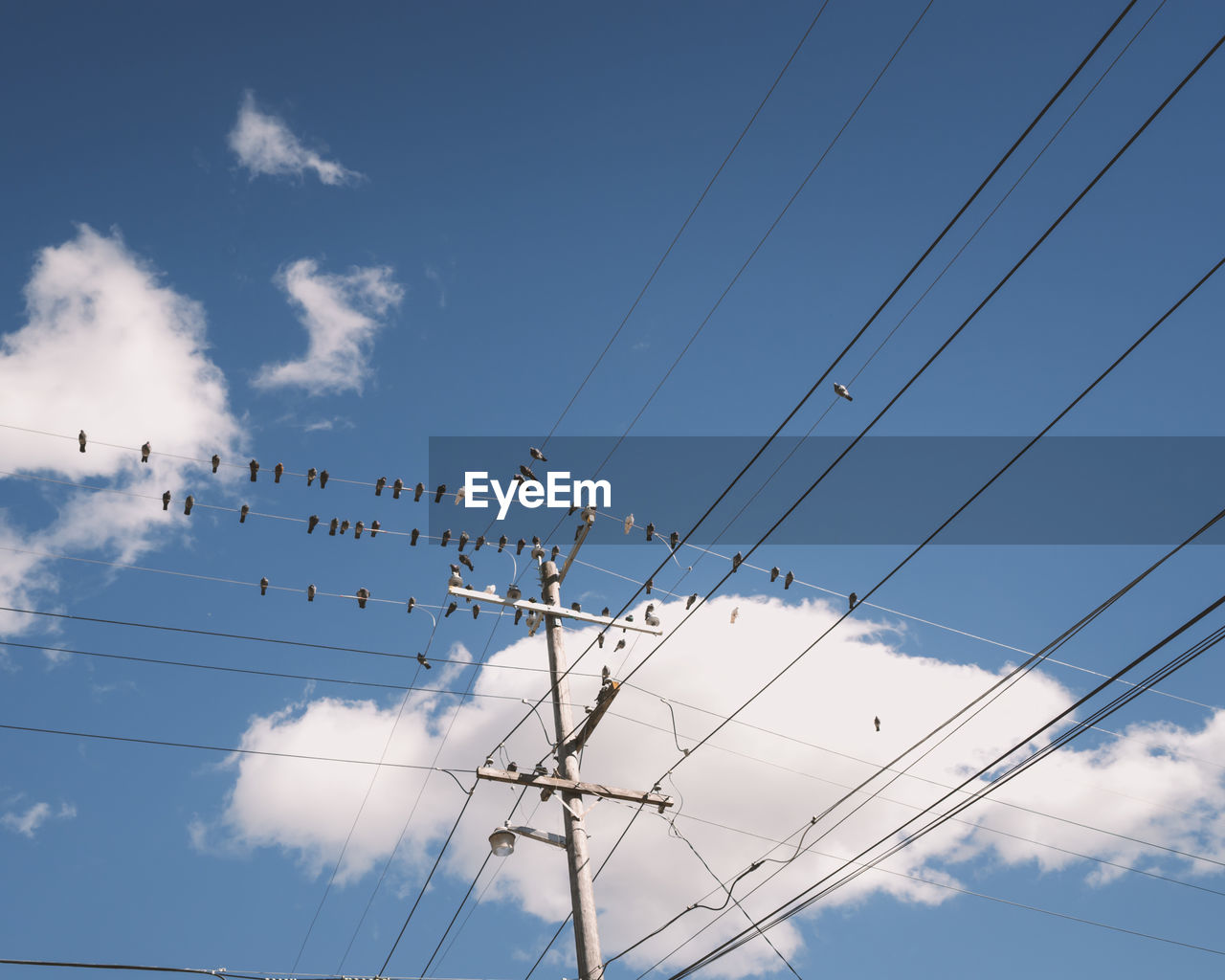 Low angle view of power lines against sky