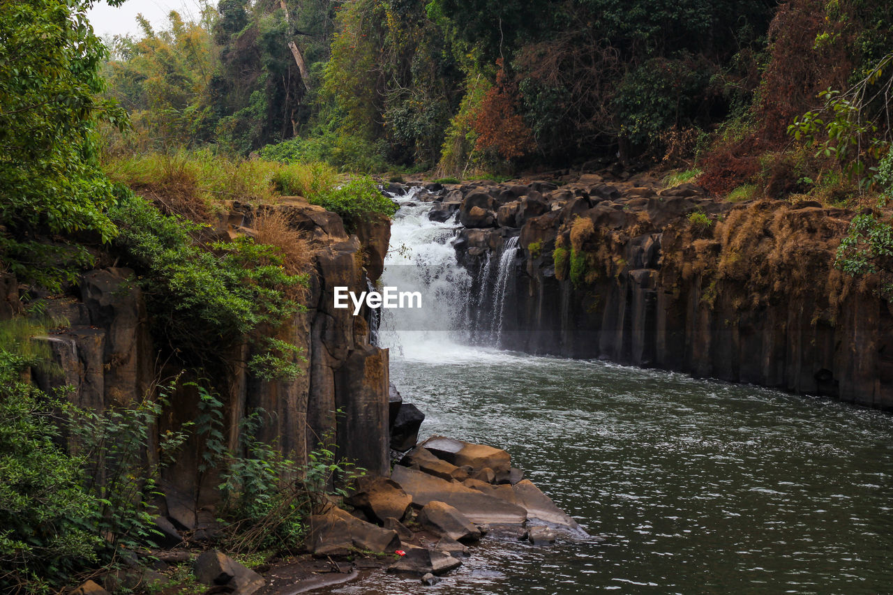 View of waterfall in forest