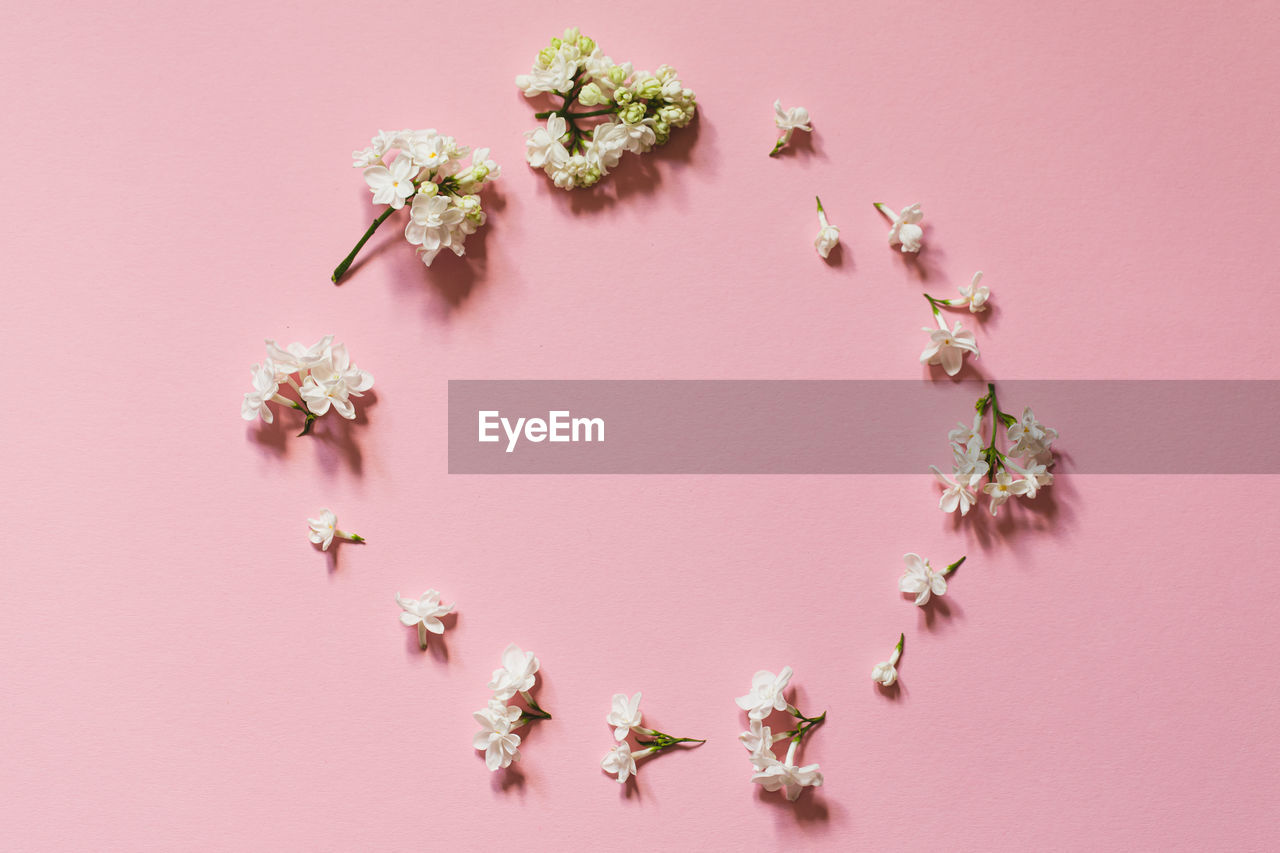 pink, colored background, studio shot, pink background, plant, indoors, flower, flowering plant, jewellery, fashion accessory, no people, petal, nature, arrangement, creativity, wreath, close-up, freshness, directly above, still life, beauty in nature