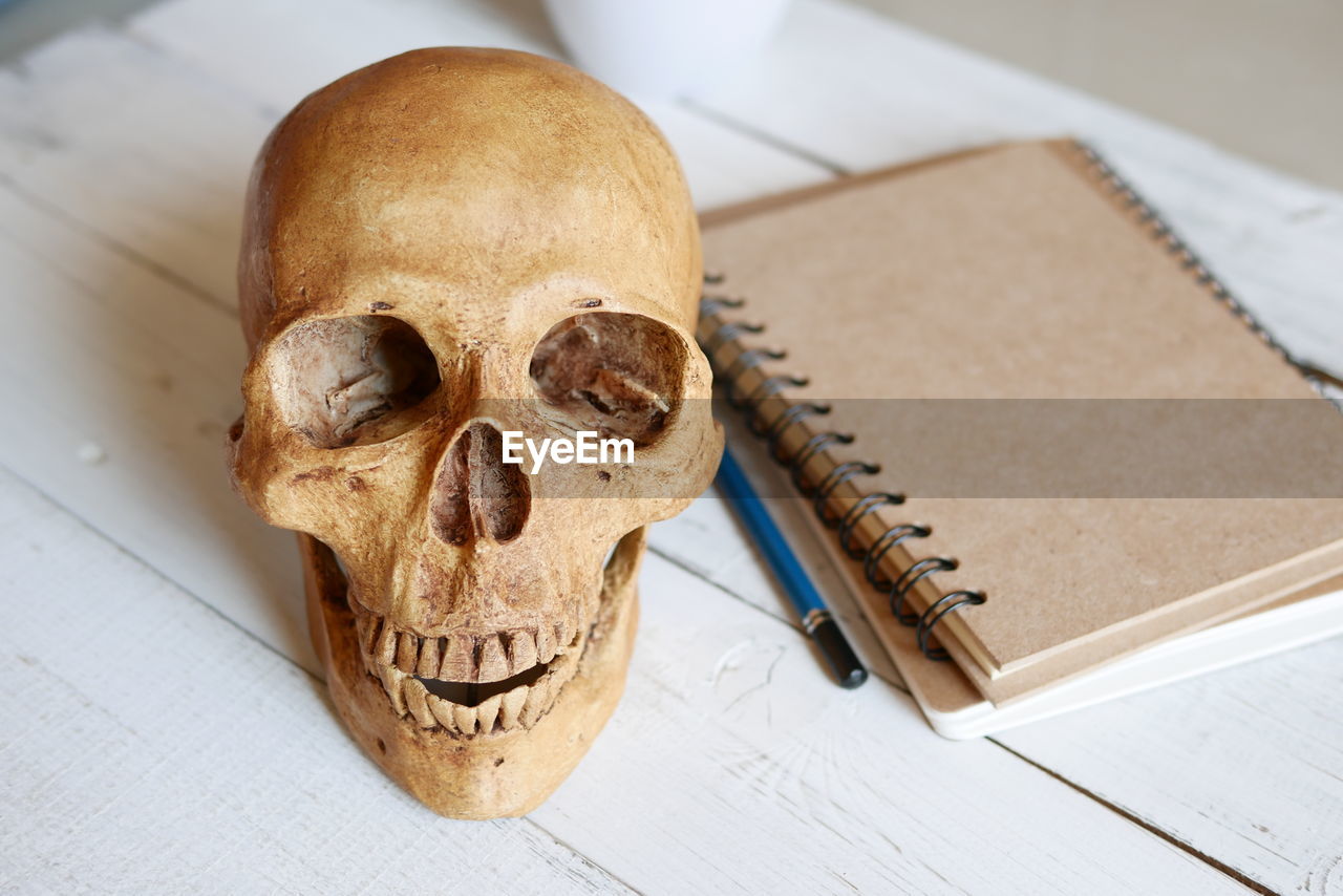 Close-up of skull with book on table