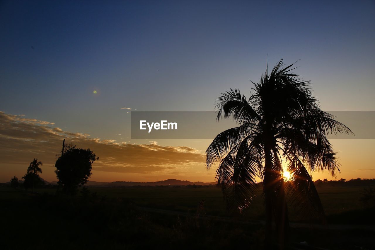 Silhouette palm trees against sky during sunset