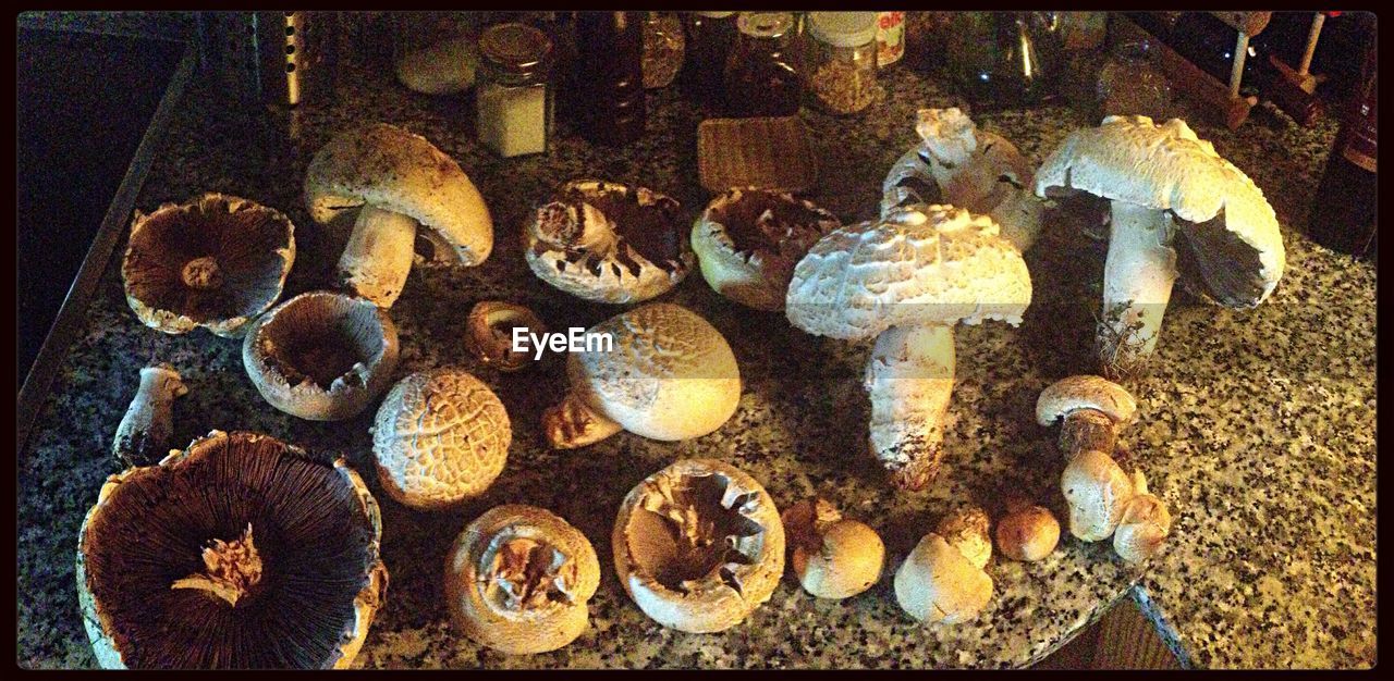 Edible mushrooms on table at home