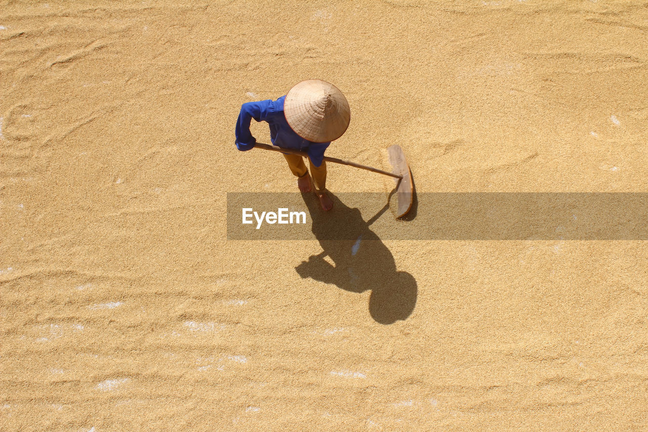 High angle view of farmer working on harvested grains