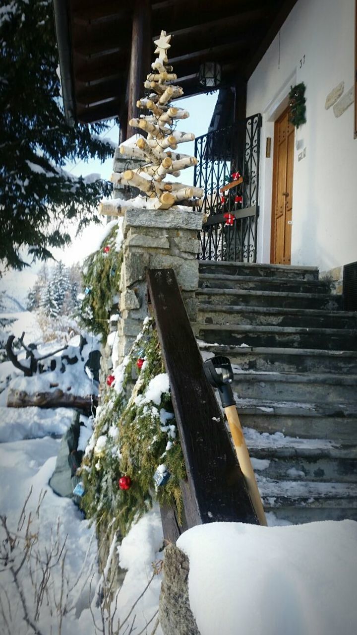 VIEW OF SNOW COVERED TREE