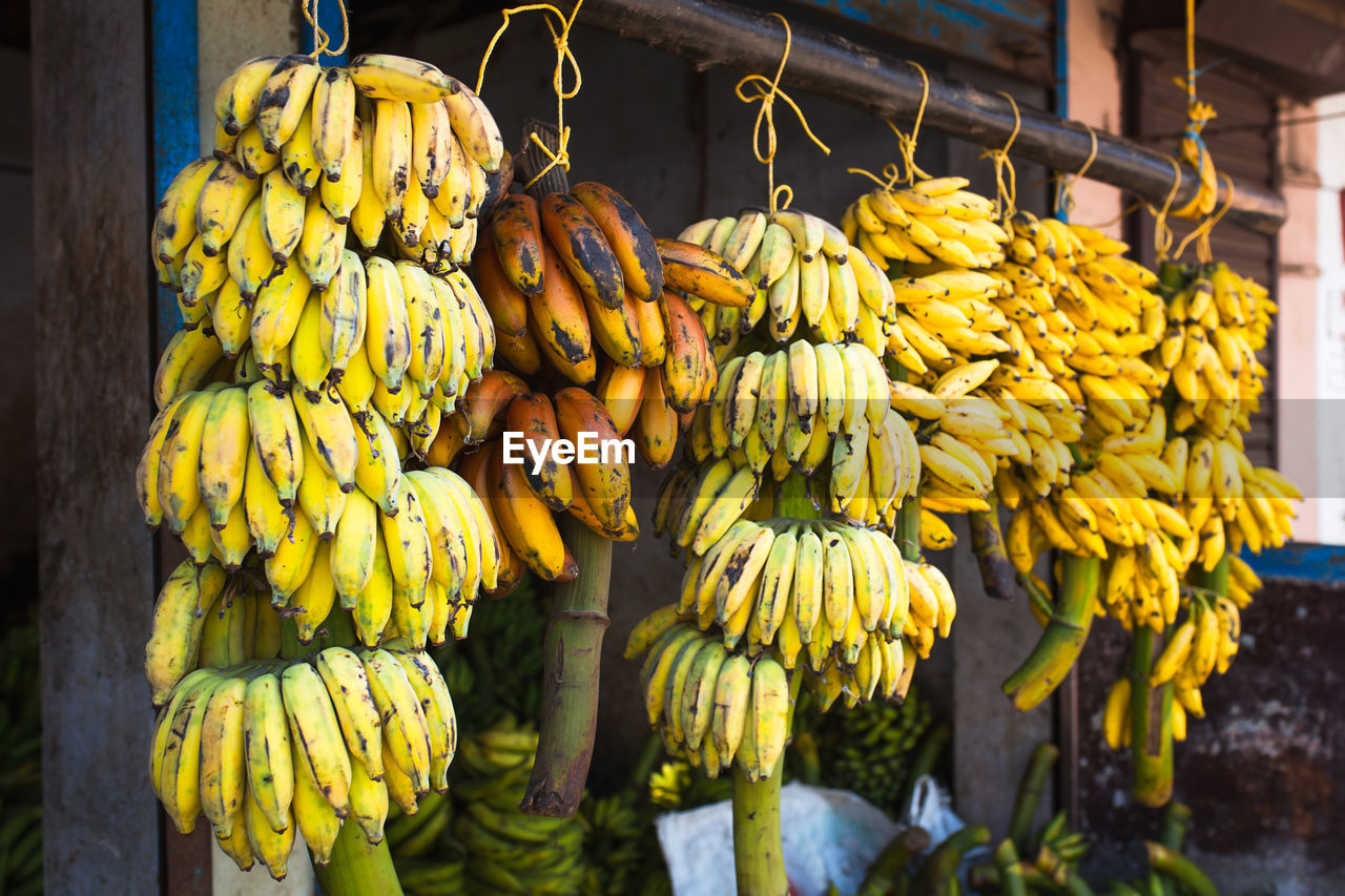 Bunches of bananas fresh cut from a tree on sale in the market in asia. banana varieties, street 